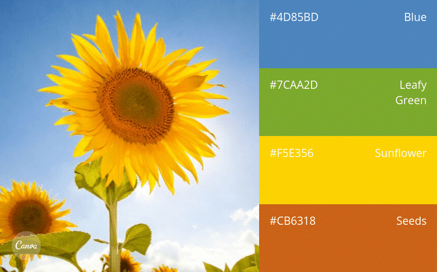 https://static-cse.canva.com/blob/139444/23.-Summer-Sunflower.png